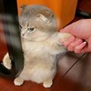 哥哥的头像