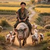 白菜的头像