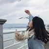 梦游的头像