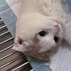 Lexx的头像