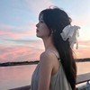 六六!的头像