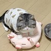 我想静静的头像