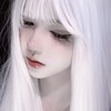 20256995的头像