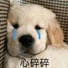 沧海的头像