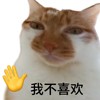 呜哇哇的头像