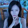 就吠的头像
