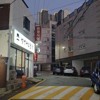 崽崽的头像