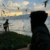 初见あ的头像
